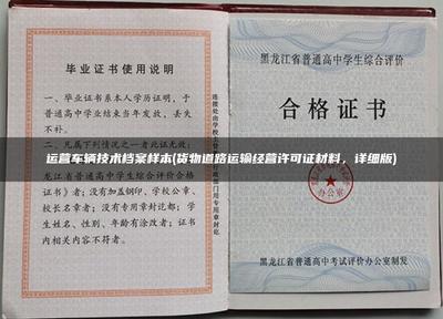 運營車輛技術檔案樣本(貨物道路運輸經營許可證材料,詳細版)