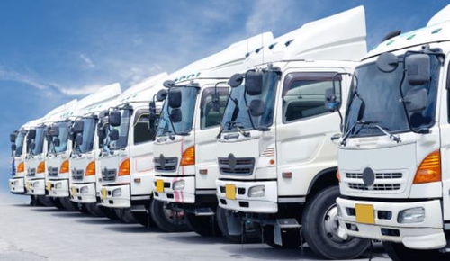 貨車資格證怎么考試