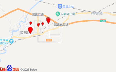(重慶)小王道路貨物運輸經營部